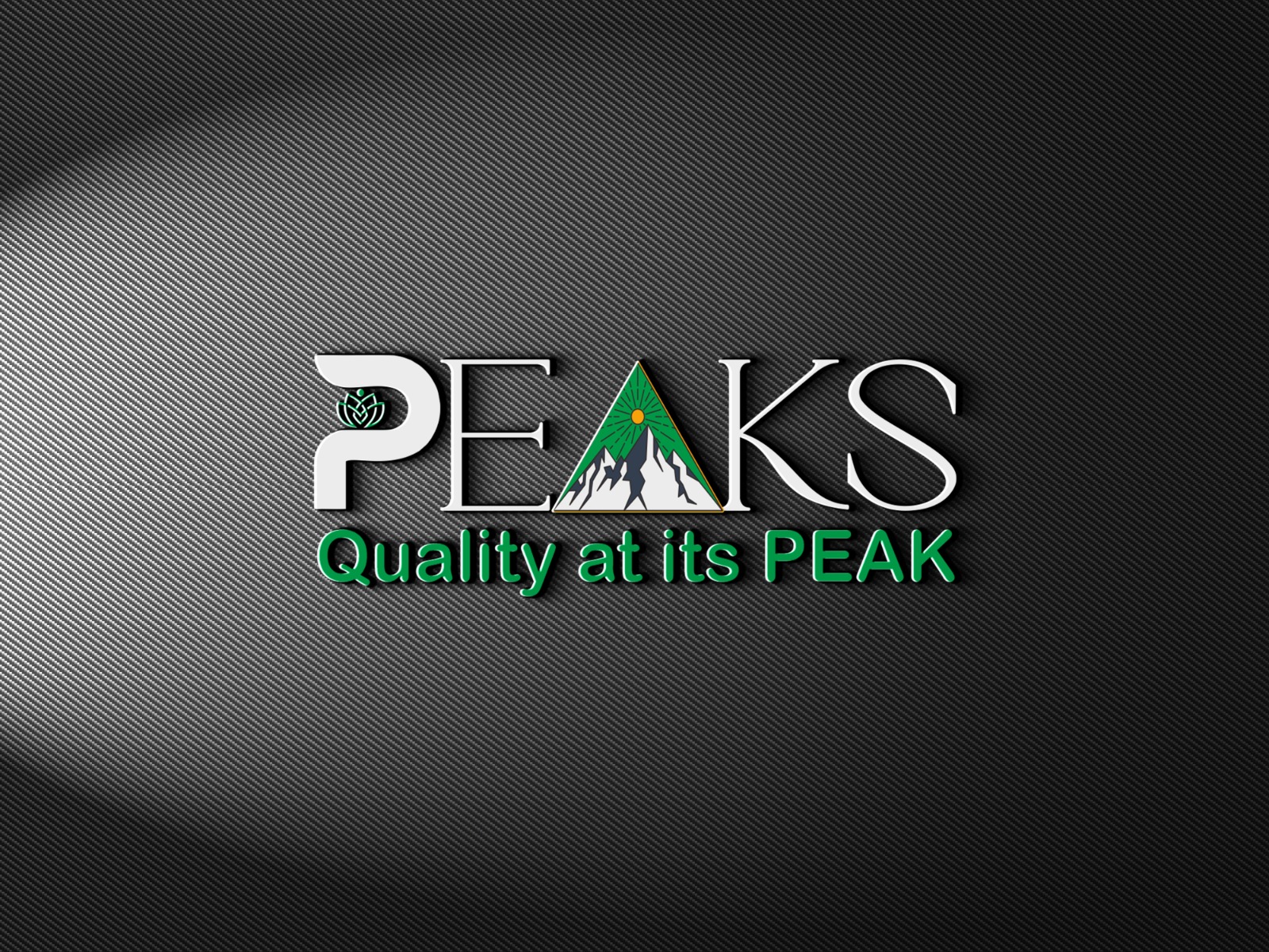 Logo 26